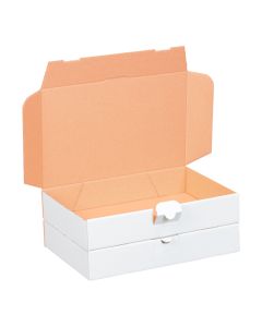 MAXIBRIEF- KARTON FALTSCHACHTEL WEISS 1402
